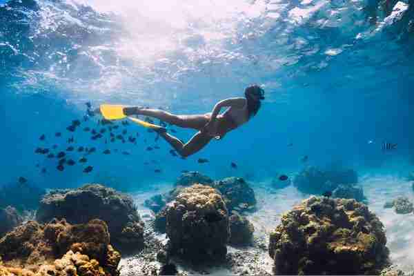 Day 3: Underwater Adventures
