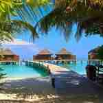 Adventure In Montego Bay