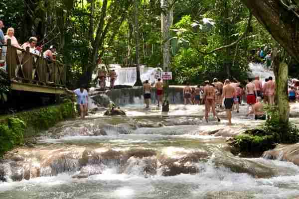 Climb Dunn’s River Falls & Soar Above the Rainforest​ Ocho Rios