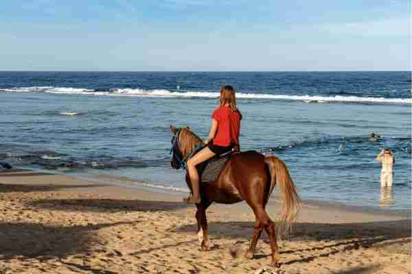 Horseback Riding and Snorkeling 7-Day Negril