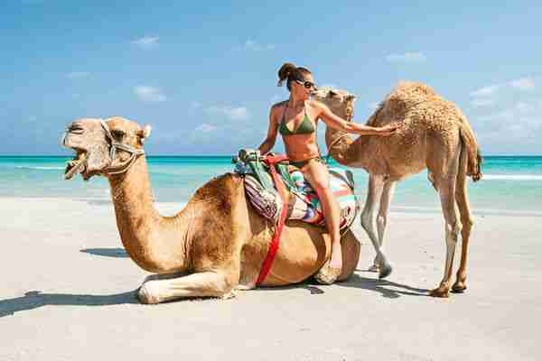 Ride Camels & Relax at Mahogany Beach​ ocho rios