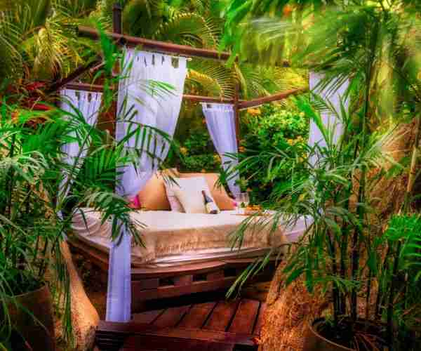 Eco Lodges aruba