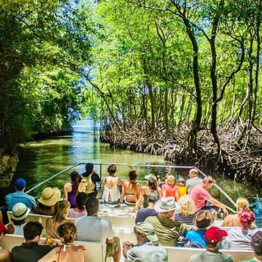 Eco Tours Dominican Republic