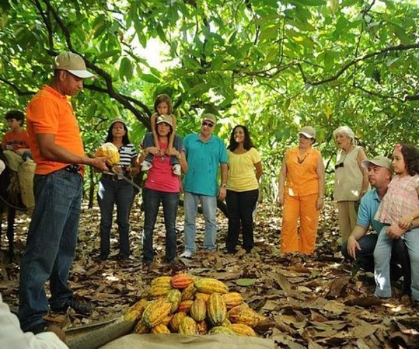 Food Tour Guides Dominican Republic