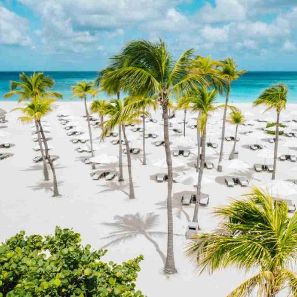 eagle beach aruba