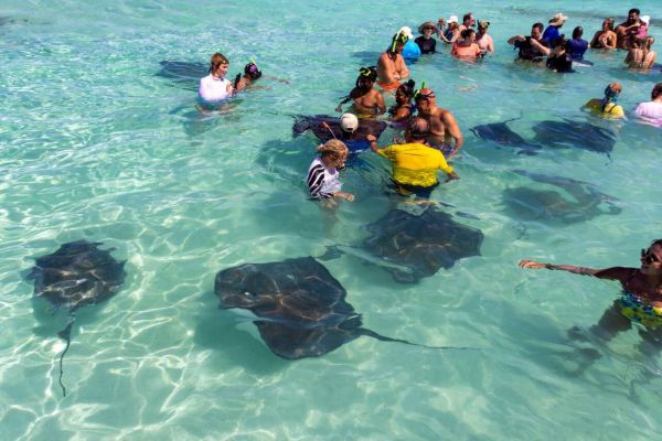 Adventure and Thrills on Antigua's Action-Packed Shores