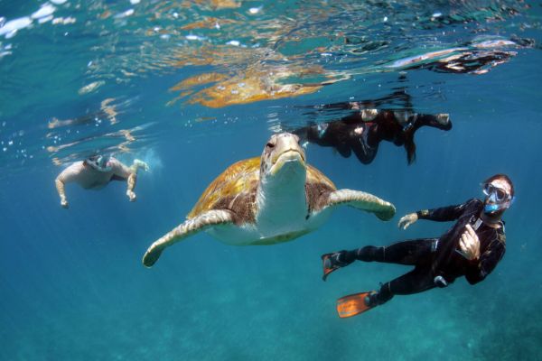 Cultural Guide to Barbados