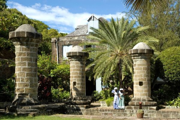 Nature's Untouched Areas Within Antigua's National Parks Adventure Guide to Antigua & Barbuda