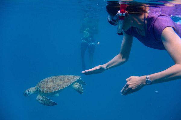 Snorkeling Cades Reef