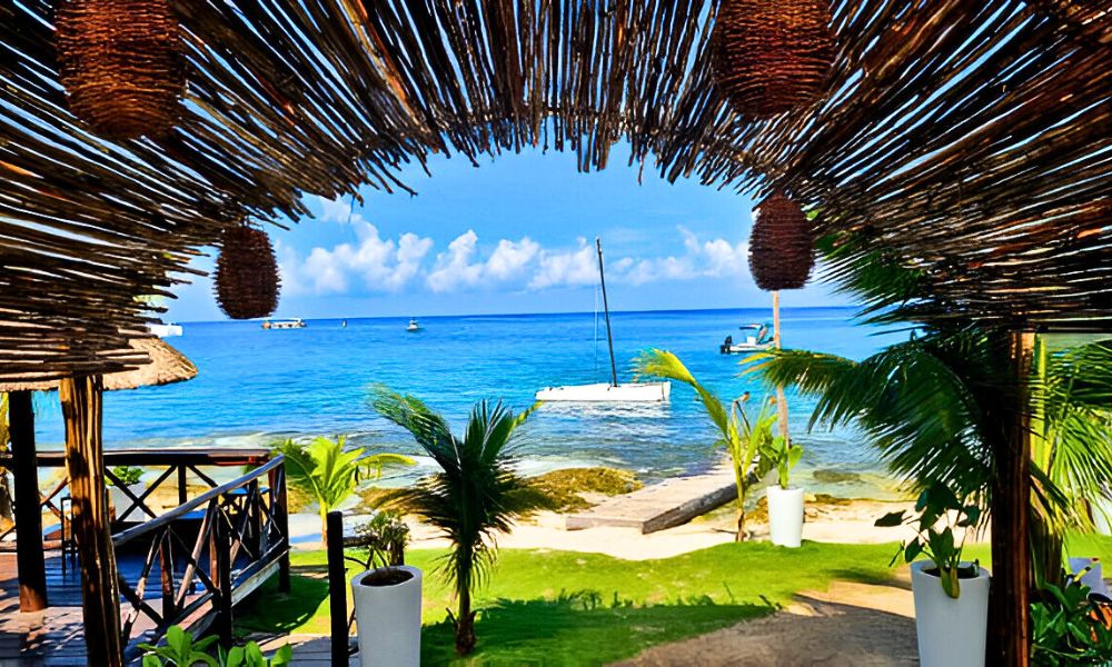 The Top Family-Friendly Resorts in Antigua & Barbuda for Relaxation and Adventure