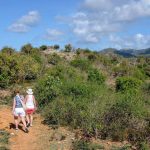 The Wildlife Wonders of Antigua & Barbuda