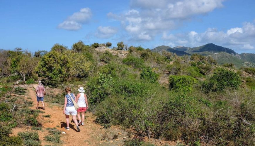The Wildlife Wonders of Antigua & Barbuda
