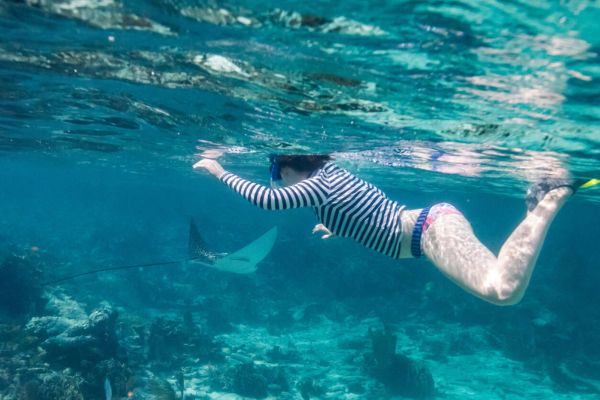 A World-Class Reef