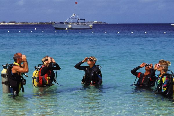 A Complete Guide to Exploring Bonaire Island and Activities