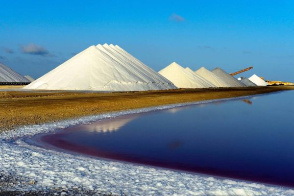 Bonaire’s Salt Flats