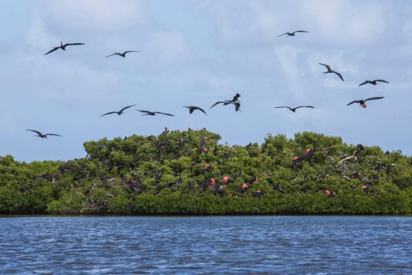 A 7-Day Itinerary To Antigua And Barbuda