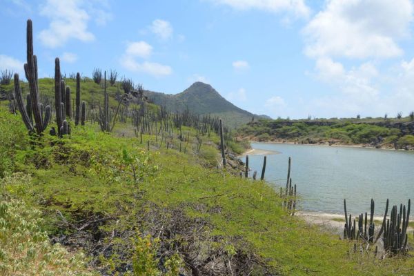 Hiking and Exploring Bonaire’s Natural Beauty
