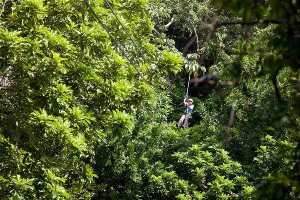Nature and Adventure