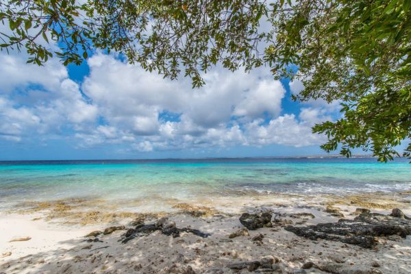 Top 10 Must-See Attractions in Bonaire