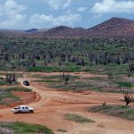The Guide to Bonaire’s Natural Wonders and Adventure