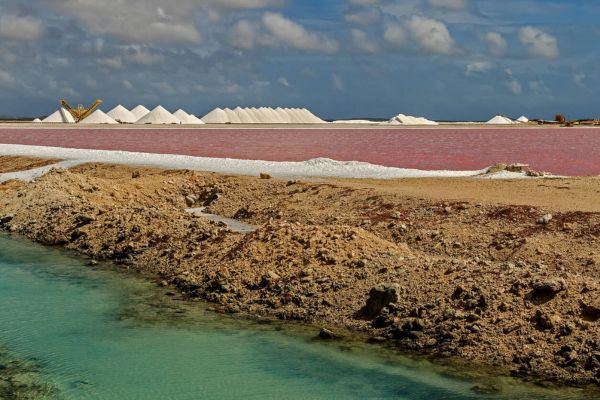 Top 10 Must-See Attractions in Bonaire