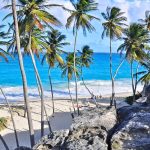 The Ultimate Guide to Barbados' South Coast for Young Travelers