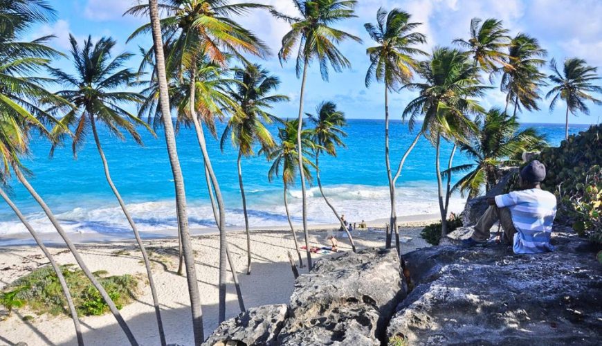 The Ultimate Guide to Barbados' South Coast for Young Travelers