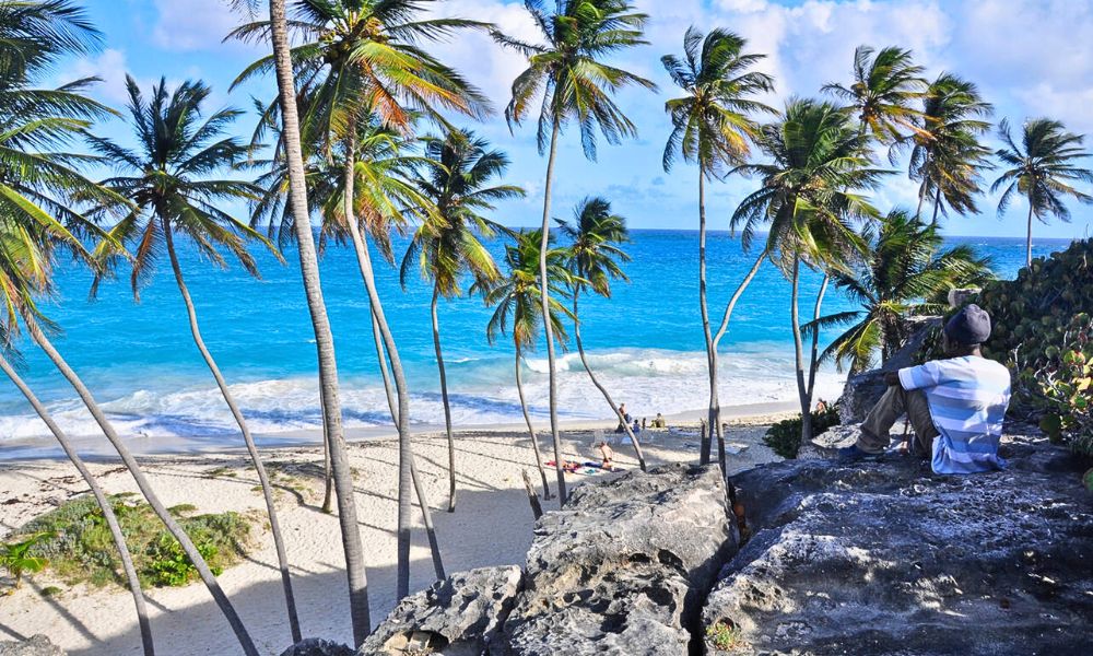 The Ultimate Guide to Barbados' South Coast for Young Travelers