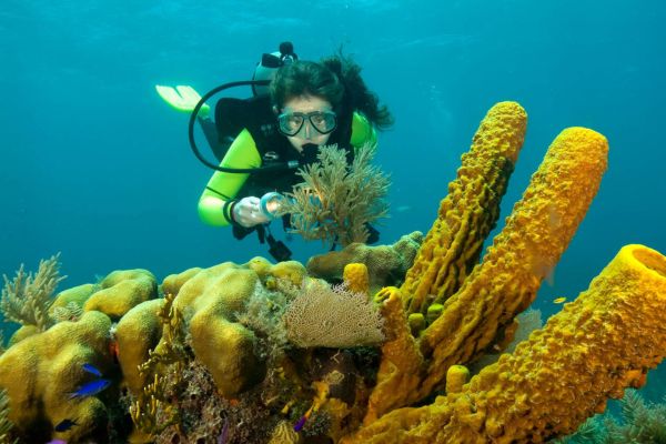 Why Belize is a Top Destination for Scuba Divers