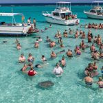 Top 10 Must-Do Tours in the Cayman Islands