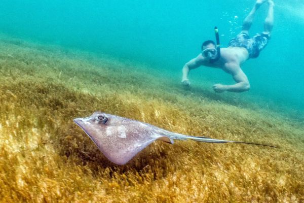 Top Destinations for Exploring Underwater Wonders