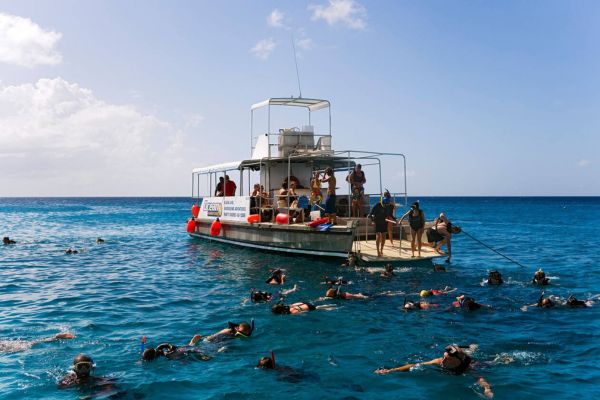 Top Water Sports to Try in Barbados