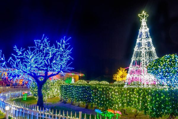 Traditional Caymanian Celebrations