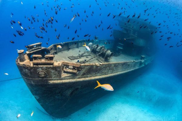 The Best Underwater Adventures in the Cayman Islands