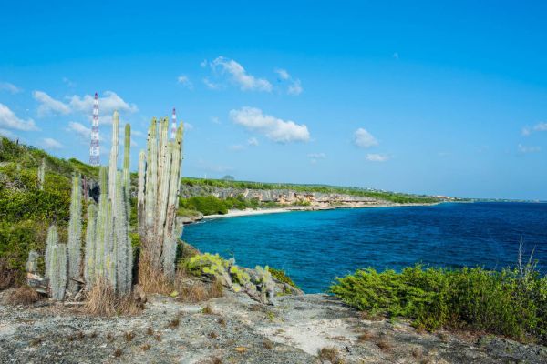 Top 10 Must-See Attractions in Bonaire