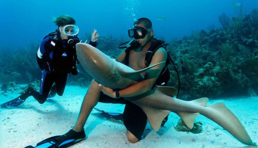 Why Belize is a Top Destination for Scuba Divers in 2025