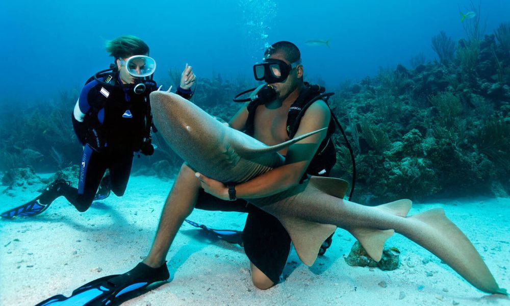 Why Belize is a Top Destination for Scuba Divers in 2025