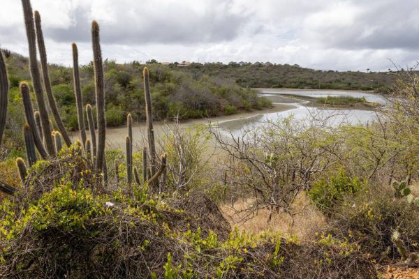 The Best Natural Wonders to Explore in Curaçao