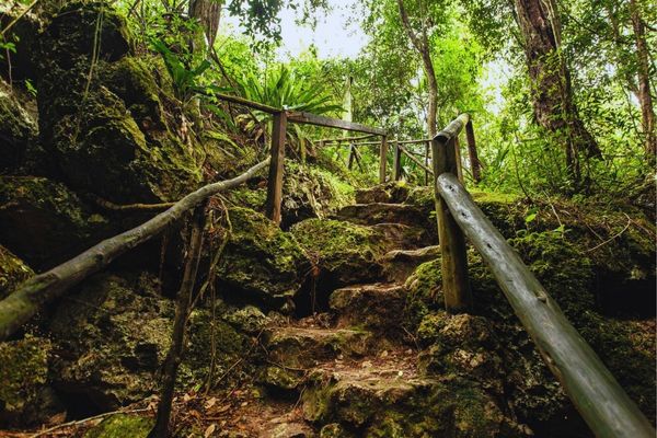 A Journey to the Heart of the Island
