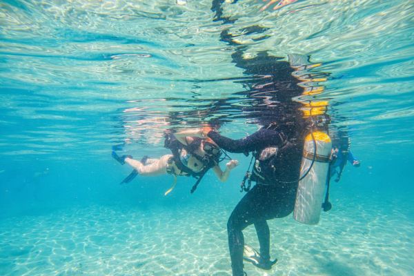 Day 2_ Island Adventures And Marine Life