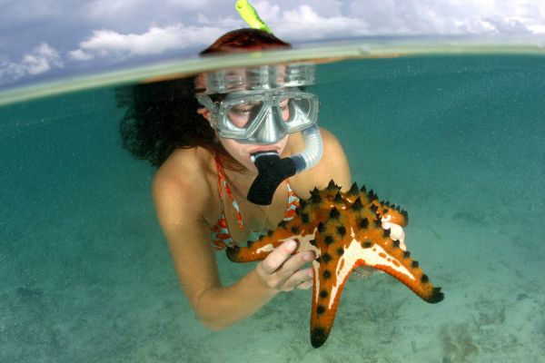 Day 3_ Chocolate And Snorkeling