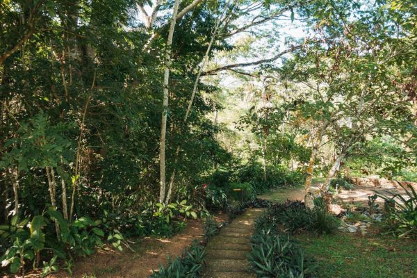 Day 4_ Nature And Wildlife Exploration 7 Days In Belize