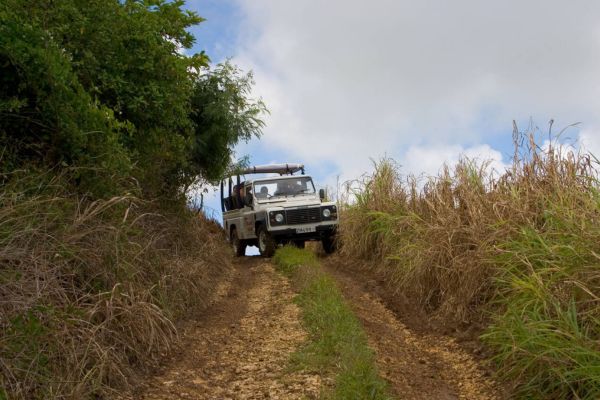 Off-Road Adventures and Cliffside Beauty