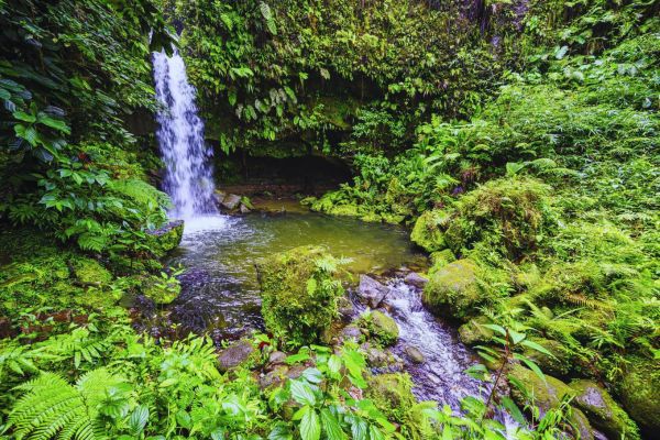 Dominica’s Thermal Waters
