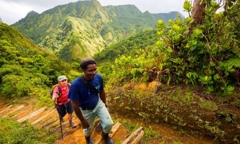 Hiking-Adventure Best Eco-Tours in Dominica