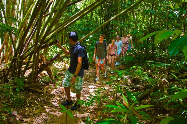 Hiking in the Rainforests of the Sierra de Bahoruco