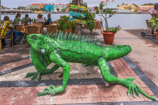 The Ultimate Guide to Tourism and Adventure in Curaçao