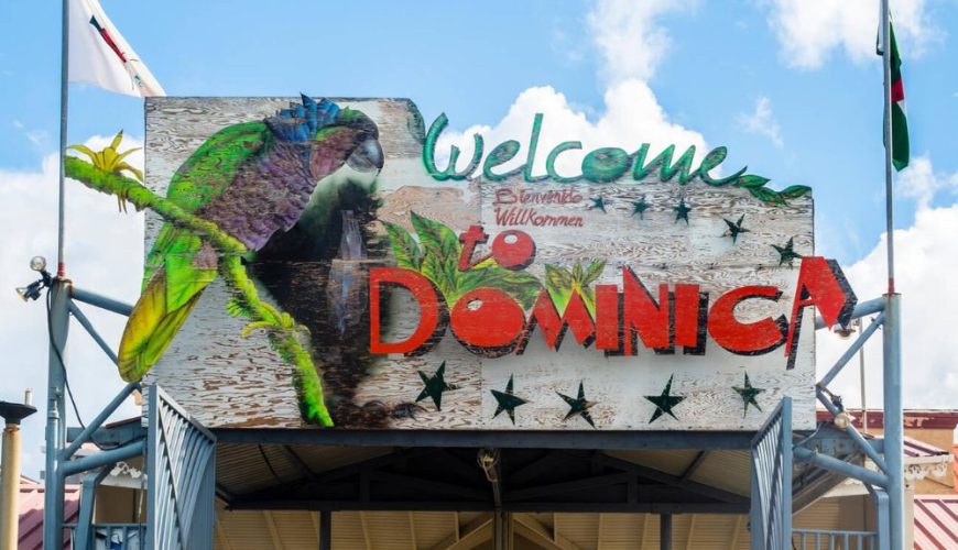The Best Eco-Tours in Dominica You Can’t Miss