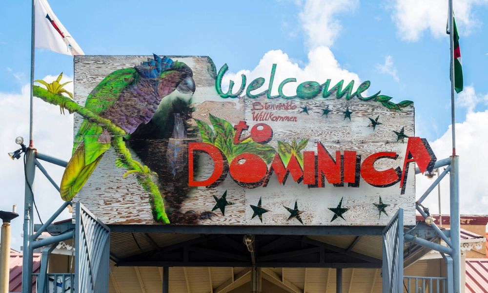 The Best Eco-Tours in Dominica You Can’t Miss