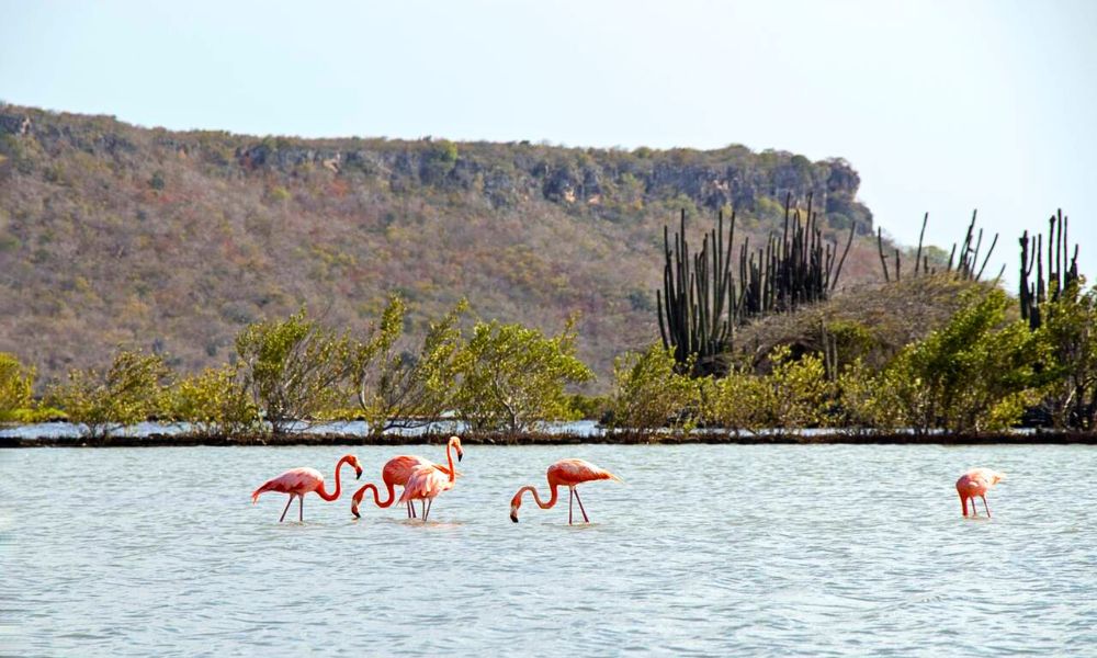 The Best Natural Wonders to Explore in Curaçao